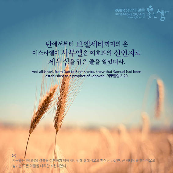 aa9035a4bd929bbaf375ceade44b27a0_1530074511_21.jpg