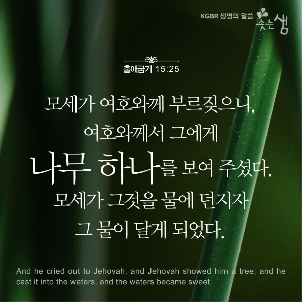 7ce9adbefd3cdf25025cd8e4fe5fff68_1529986795_04.jpg