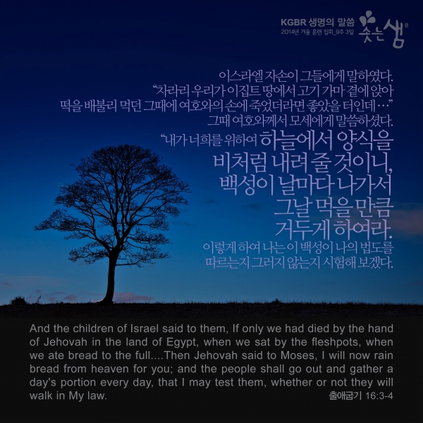 7ce9adbefd3cdf25025cd8e4fe5fff68_1529987187_5.jpg