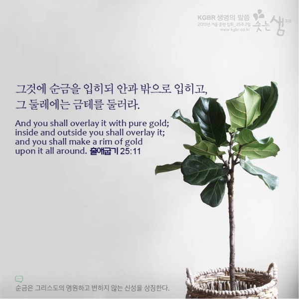 7ce9adbefd3cdf25025cd8e4fe5fff68_1529990533_02.jpg