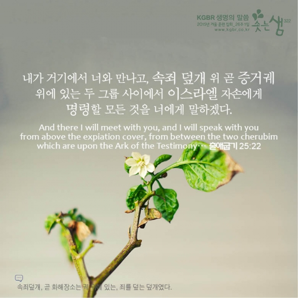 7ce9adbefd3cdf25025cd8e4fe5fff68_1529991986_37.jpg