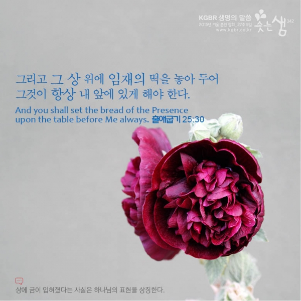 7ce9adbefd3cdf25025cd8e4fe5fff68_1529992048_81.jpg
