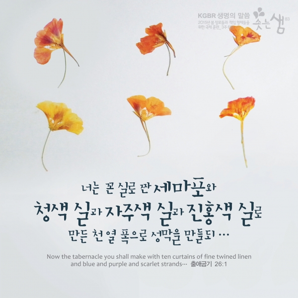 7ce9adbefd3cdf25025cd8e4fe5fff68_1529992324_03.jpg