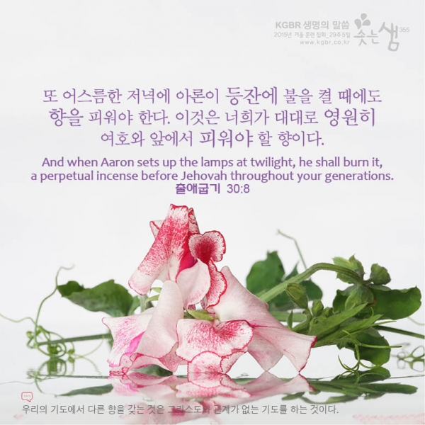aa9035a4bd929bbaf375ceade44b27a0_1530059015_46.jpg