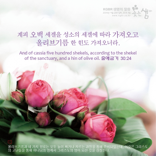 aa9035a4bd929bbaf375ceade44b27a0_1530059270_02.jpg