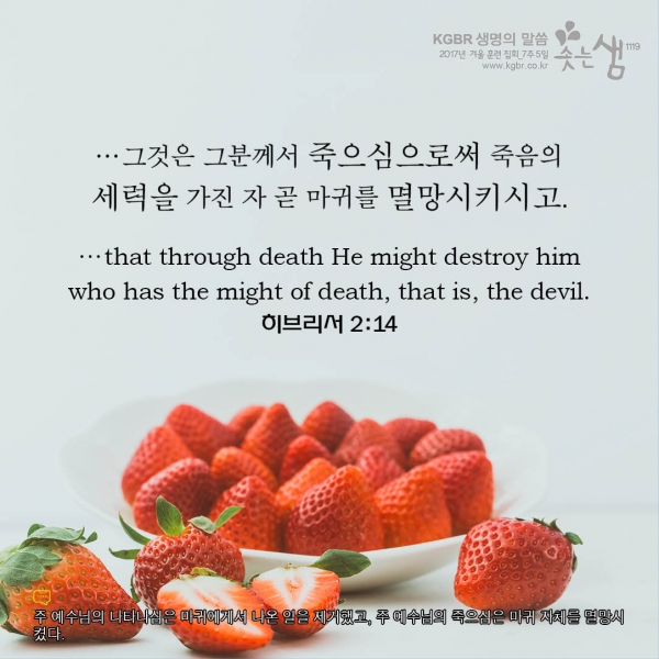 ce7f003b71cbd4f7b95b34f064479c06_1531705273_13.jpg