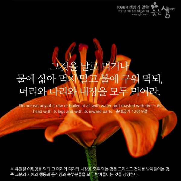 a88b354c98ad69c8b0d5b78af93801d7_1630299566_9644.jpg
