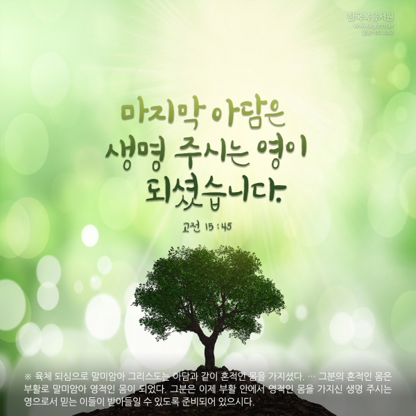 3ecfe73e79c03e1ad524d2cd36726f48_1726801344_0564.jpg