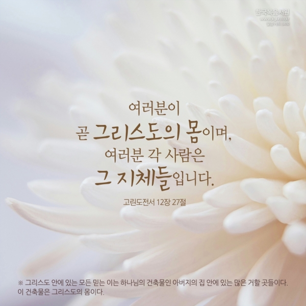 3ecfe73e79c03e1ad524d2cd36726f48_1728545371_7998.jpg