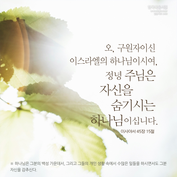 3ecfe73e79c03e1ad524d2cd36726f48_1730357849_5785.jpg