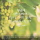 http://www.kgbr.co.kr/gospel/data/editor/2411/thumb-3ecfe73e79c03e1ad524d2cd36726f48_1731548962_0101_80x80.jpg