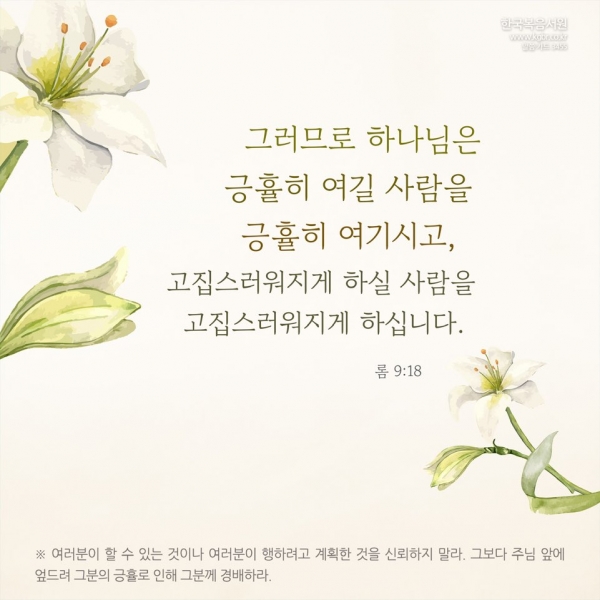 3ecfe73e79c03e1ad524d2cd36726f48_1732164429_6673.jpg