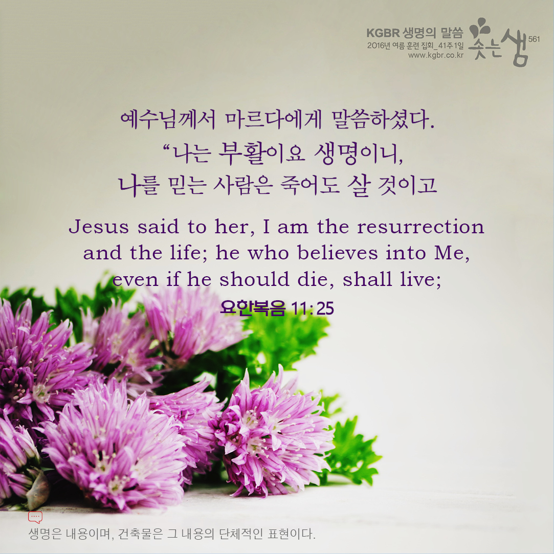 요한복음 11장 25절 요한복음 11장 25절