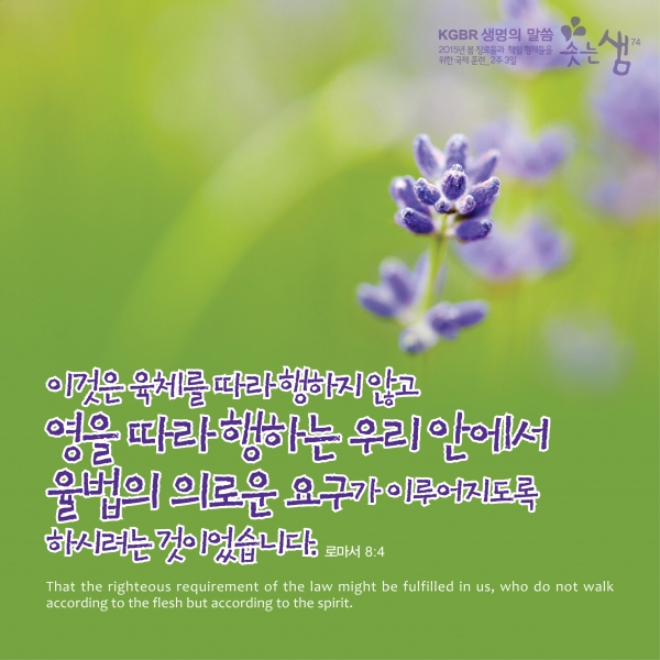 e597cc65c44690d53f42e66665febc2b_1530855780_03.jpg