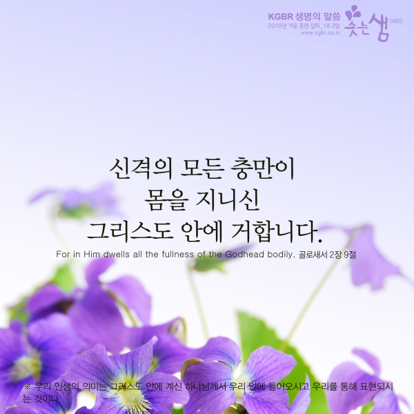 4b0cccd4e9b08c1eafbd71fe099cace4_1547770849_66.jpg