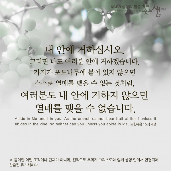 ef824877bed5cbbb5ac8859129a4d738_1546565152_28.jpg