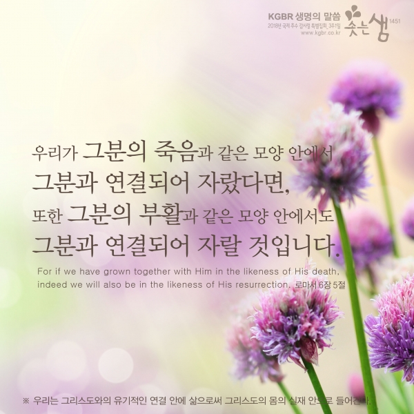 ef824877bed5cbbb5ac8859129a4d738_1546565547_37.jpg