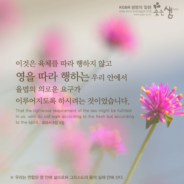 ef824877bed5cbbb5ac8859129a4d738_1546565650_34.jpg