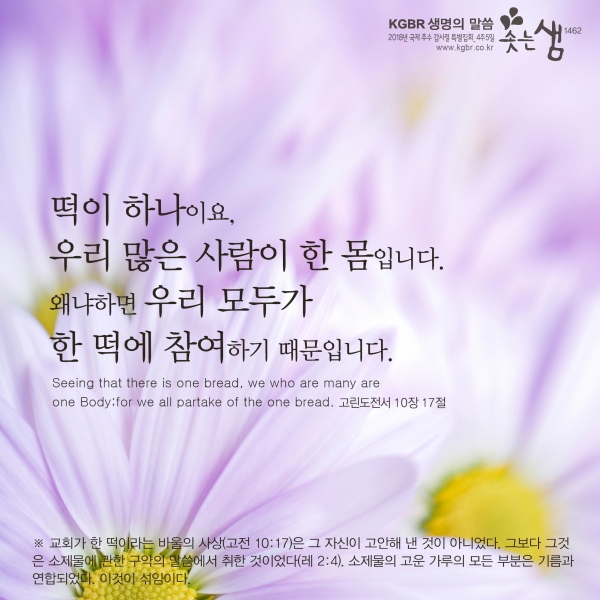 ef824877bed5cbbb5ac8859129a4d738_1546565857_72.jpg