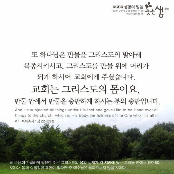 ef824877bed5cbbb5ac8859129a4d738_1546566071_5.jpg