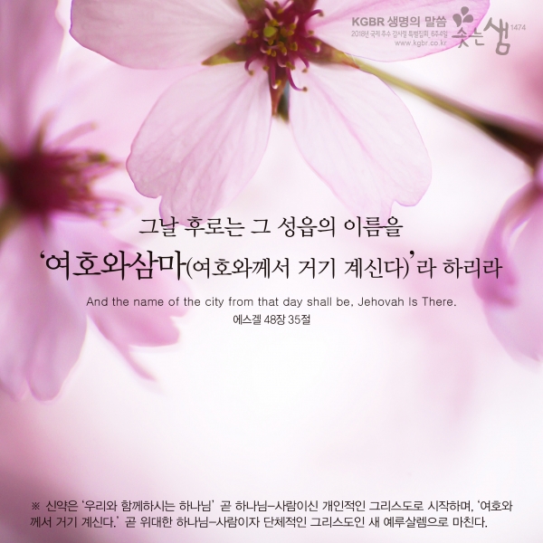 ef824877bed5cbbb5ac8859129a4d738_1546566341_32.jpg