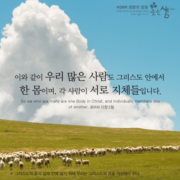 ef824877bed5cbbb5ac8859129a4d738_1546566402_85.jpg