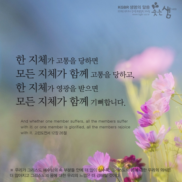 ef824877bed5cbbb5ac8859129a4d738_1546566448_44.jpg
