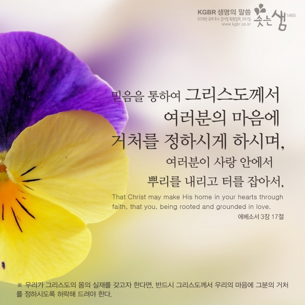 ef824877bed5cbbb5ac8859129a4d738_1546566510_58.jpg