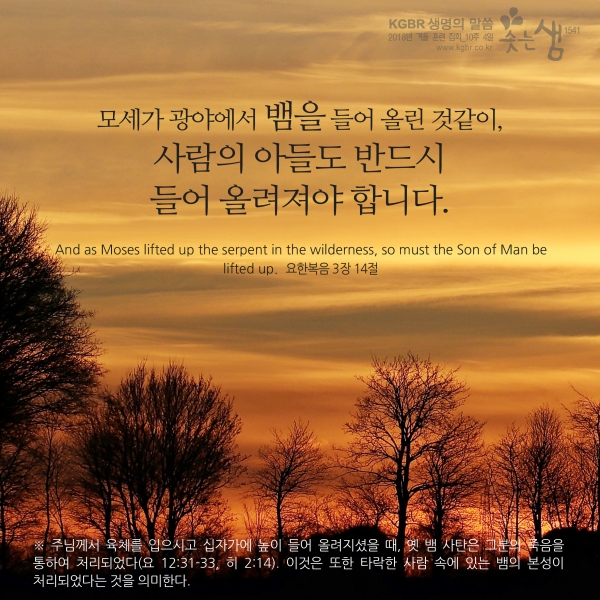 d0c1288e0ba19193c819dbfde1bbe48a_1552958305_46.jpg