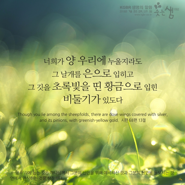 d0c1288e0ba19193c819dbfde1bbe48a_1552961067_04.jpg