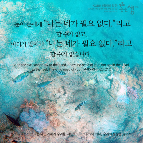 71fd1ac86139258c9512d93a9a830eac_1555648393.jpg