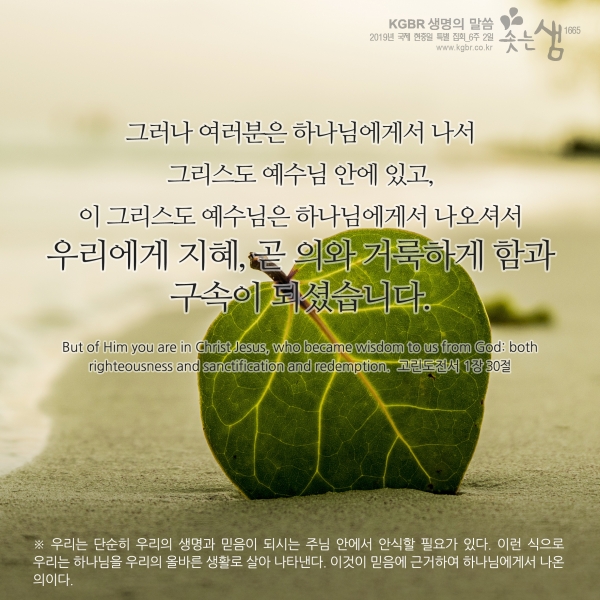 ce76704468f8ffb3ad8c1245eead27e2_1563933088_87.jpg