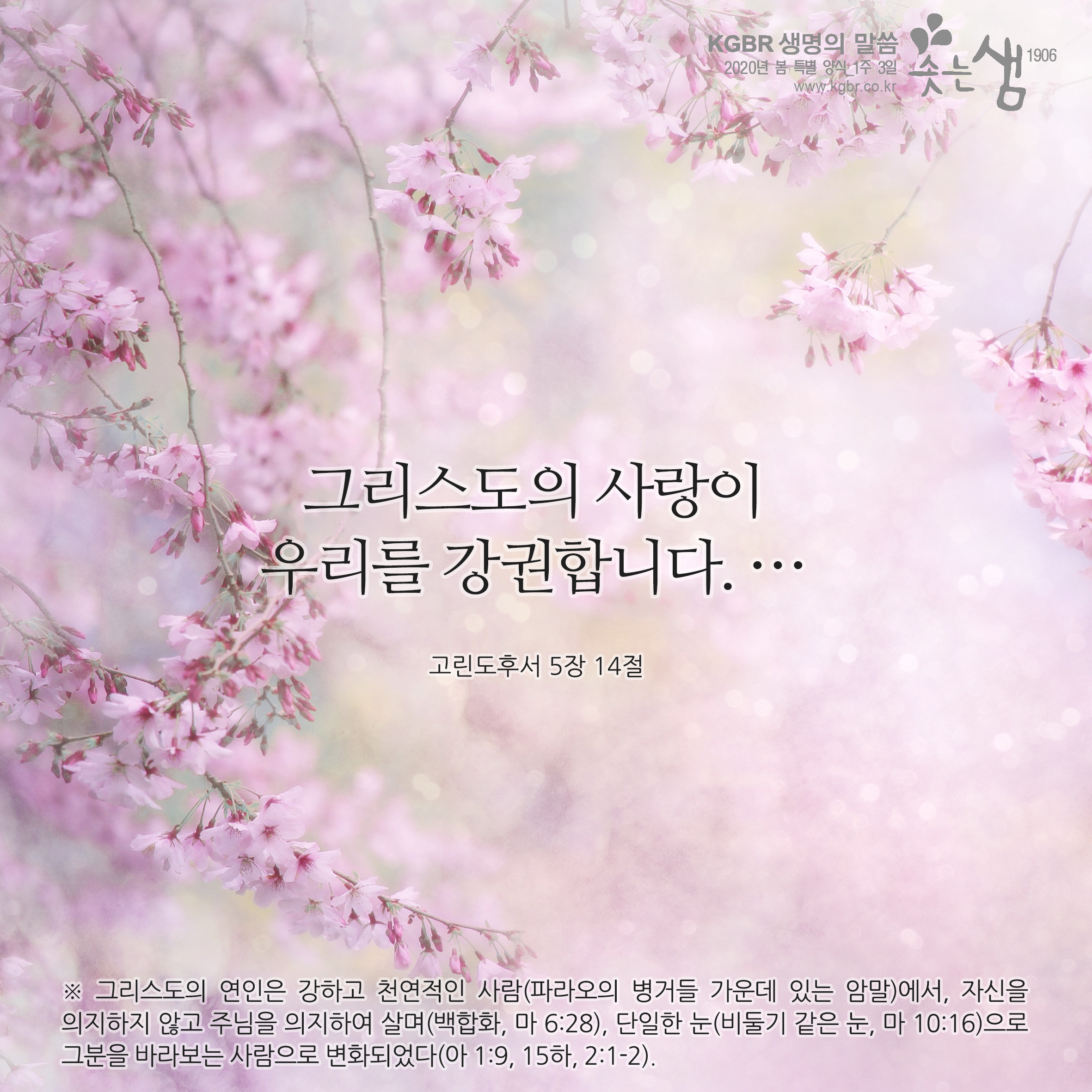 고린도후서 5장 14절 고린도후서 5장 14절