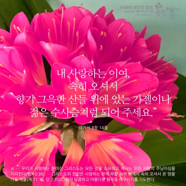 9dfb399636ab3234e810cf70a5fcaabb_1588811619_86.jpg