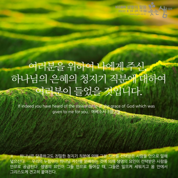 9dfb399636ab3234e810cf70a5fcaabb_1588811918_09.jpg