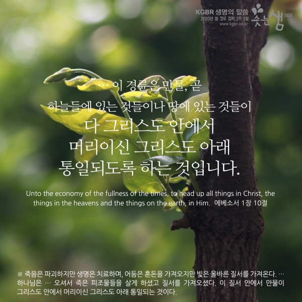 9dfb399636ab3234e810cf70a5fcaabb_1588812040_16.jpg