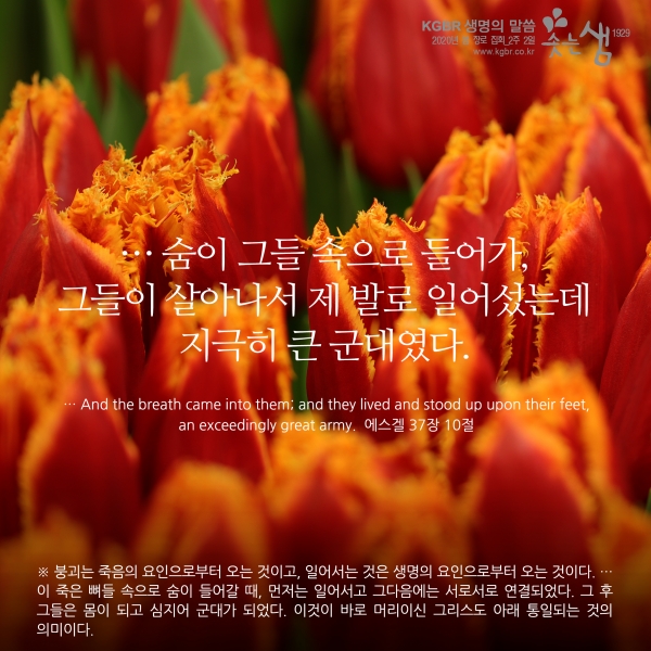 9dfb399636ab3234e810cf70a5fcaabb_1588812092_83.jpg