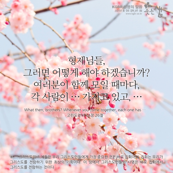 6ee2f9ec5fc690adde37344441a5f596_1592544133_59.jpg