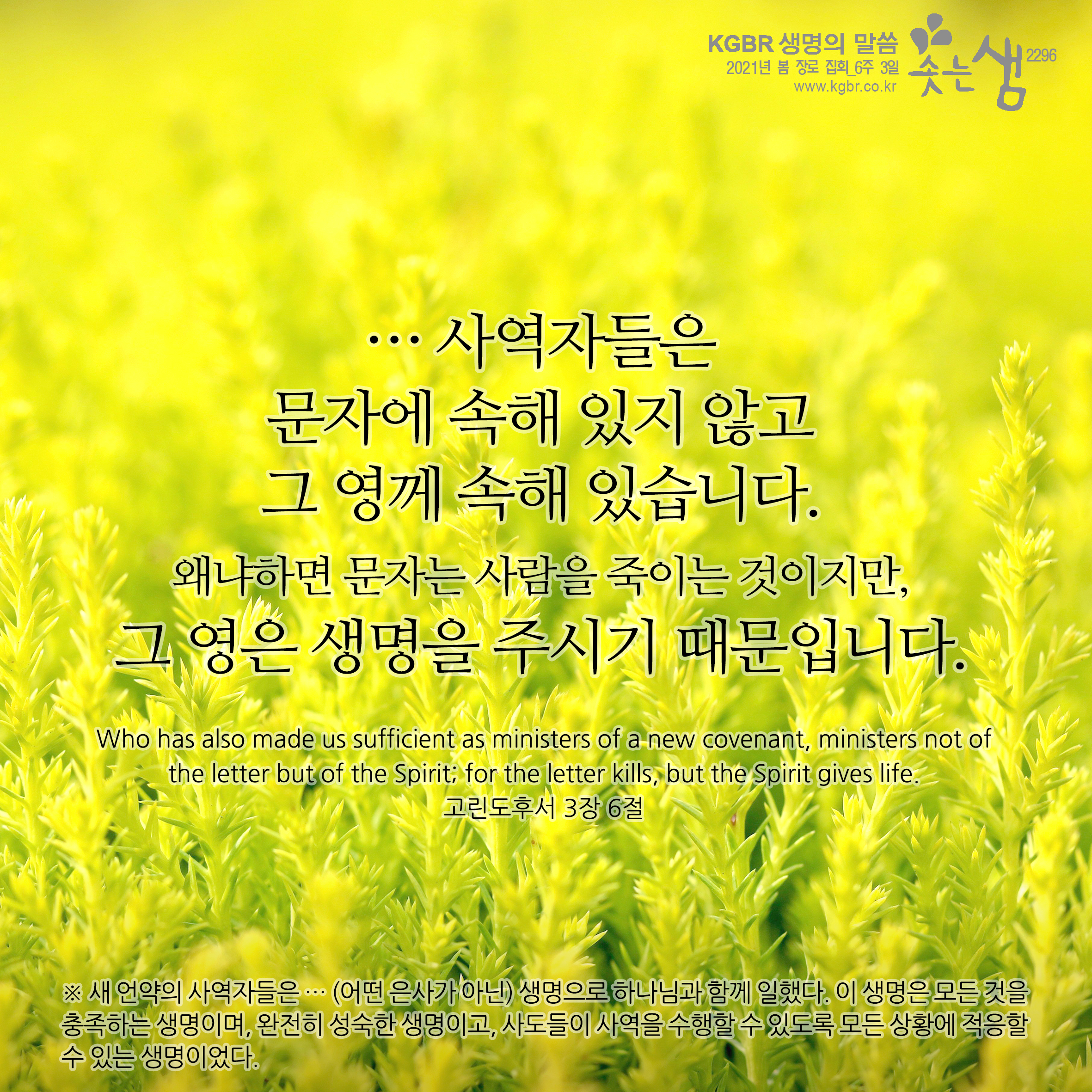 고린도후서 3장 6절 고린도후서 3장 6절