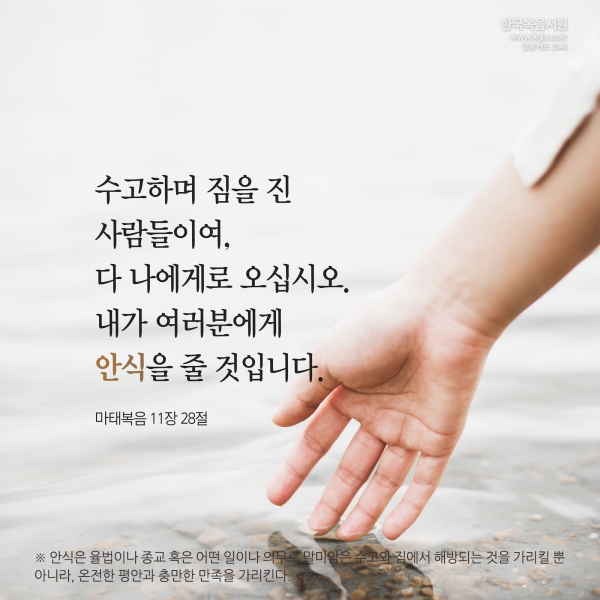 3ecfe73e79c03e1ad524d2cd36726f48_1722997324_8376.jpg