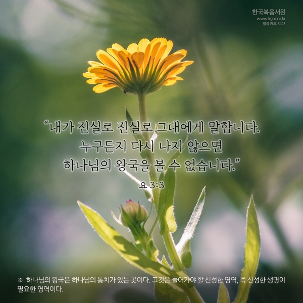 3ecfe73e79c03e1ad524d2cd36726f48_1729820688_4883.jpg